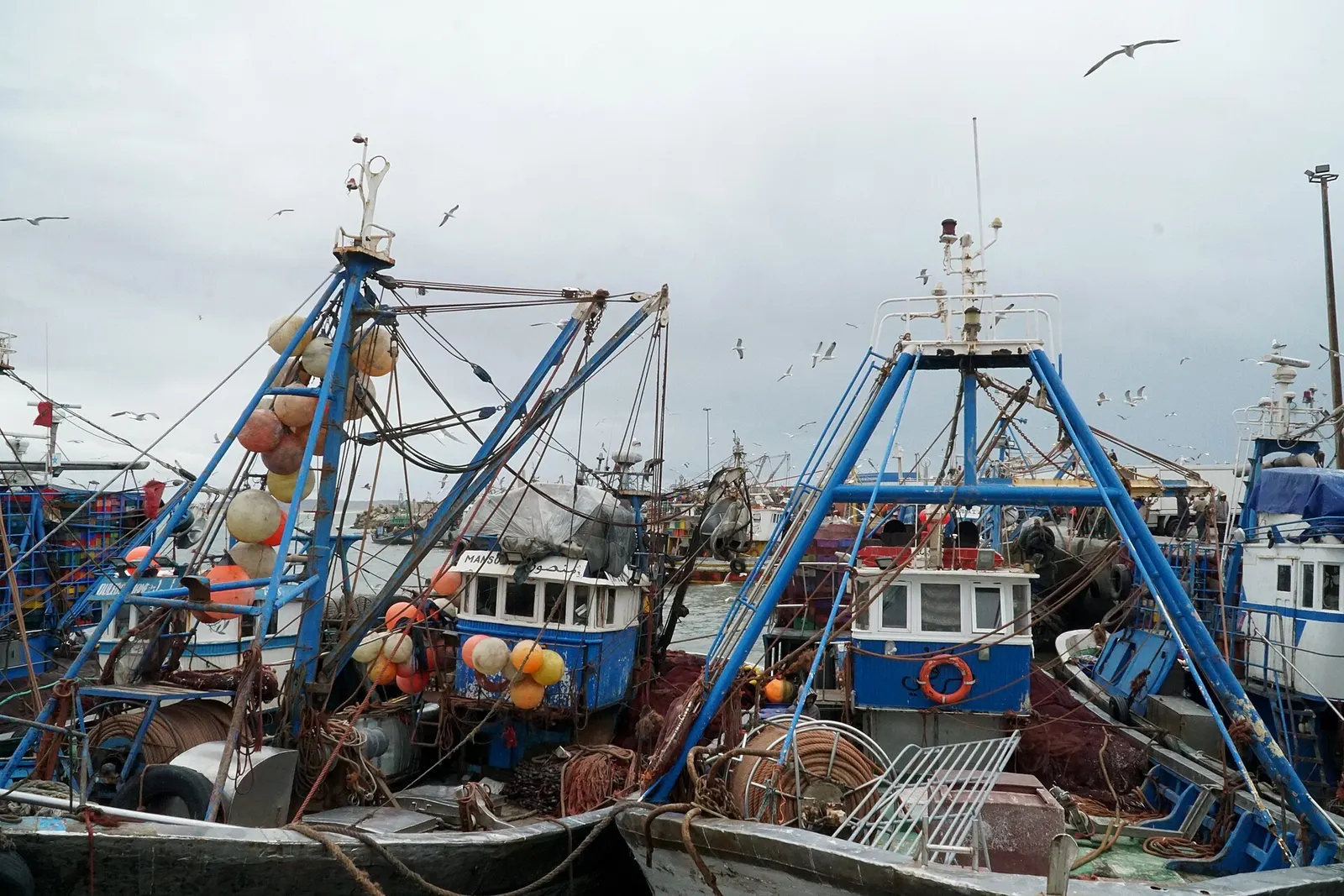 Blue fishing boats moored side by side in the port of Essaouira