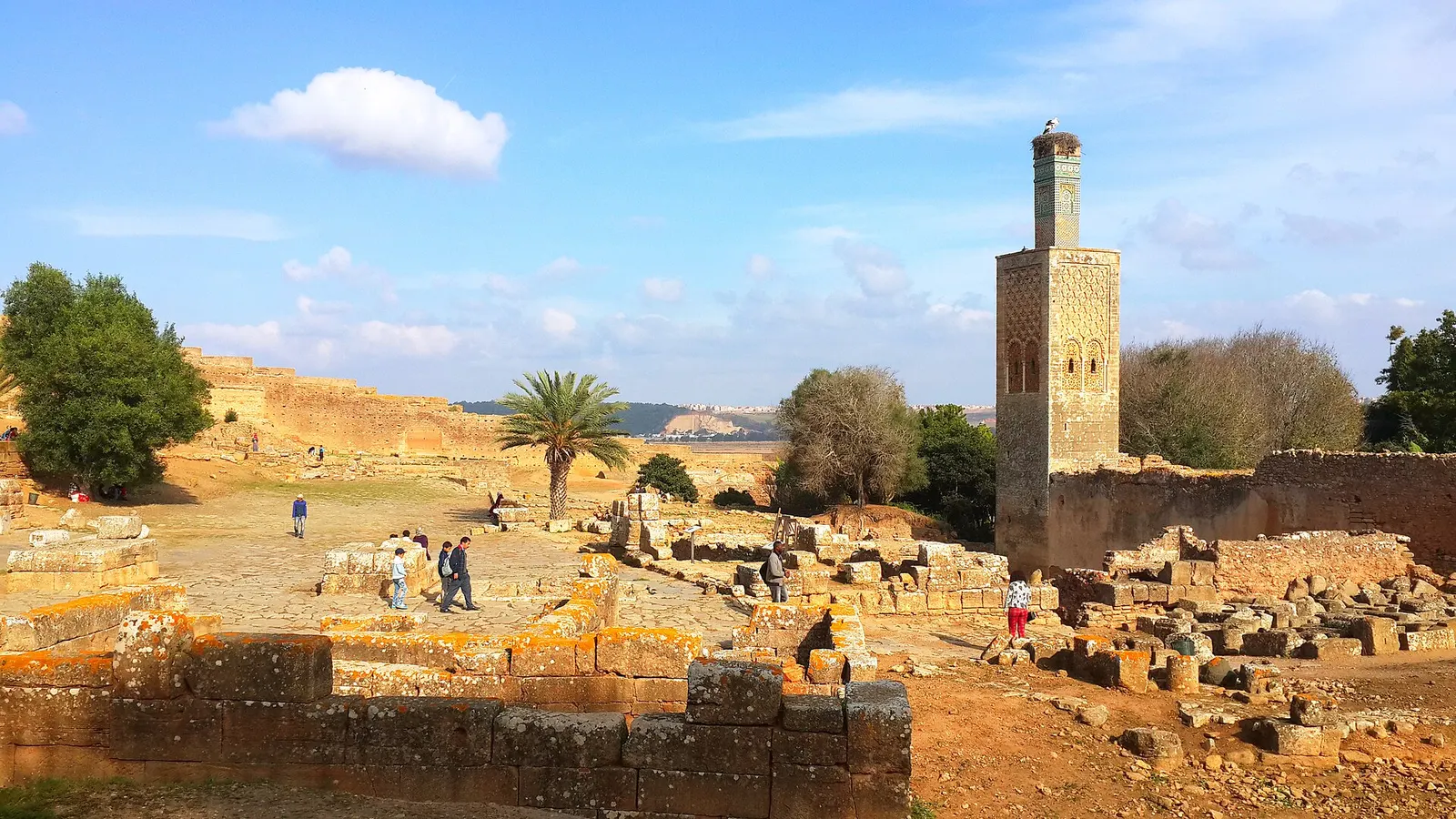 Wide view of the Chellah site in Rabat, with its ruins and greenery